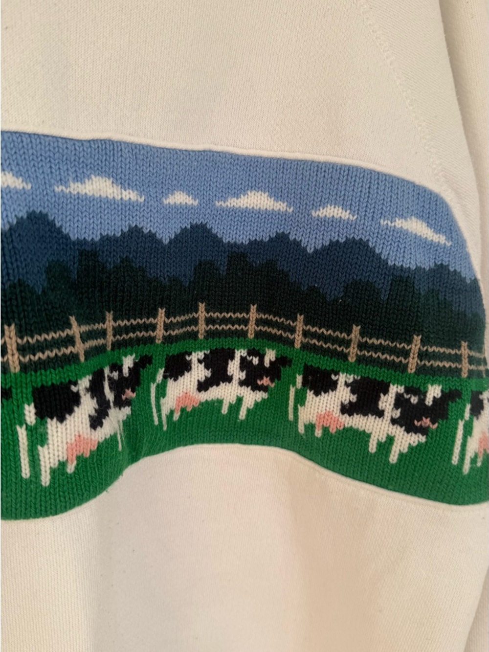 VINTAGE White Crewneck Sweater with Green Collar and Pastoral Knit Panel - Picture 6 of 8